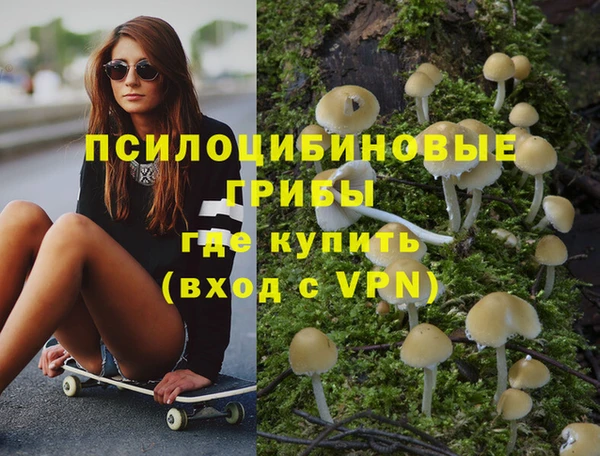 гидропоника Кулебаки