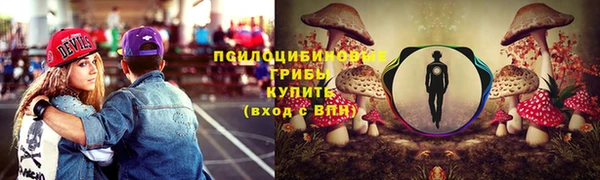 гидропоника Кулебаки