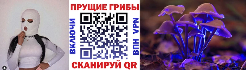 где продают наркотики  omg ссылки  Псилоцибиновые грибы ЛСД  Малгобек 
